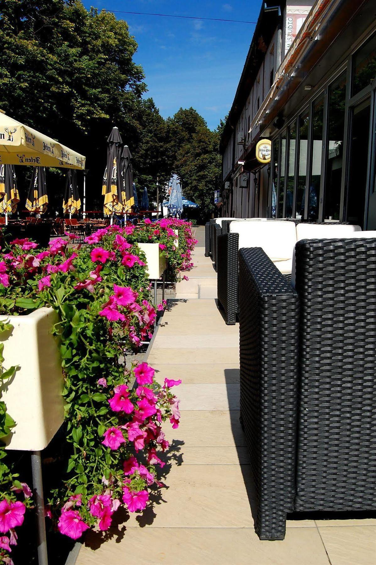 Hotel Tiski Cvet Novi Becej Bagian luar foto